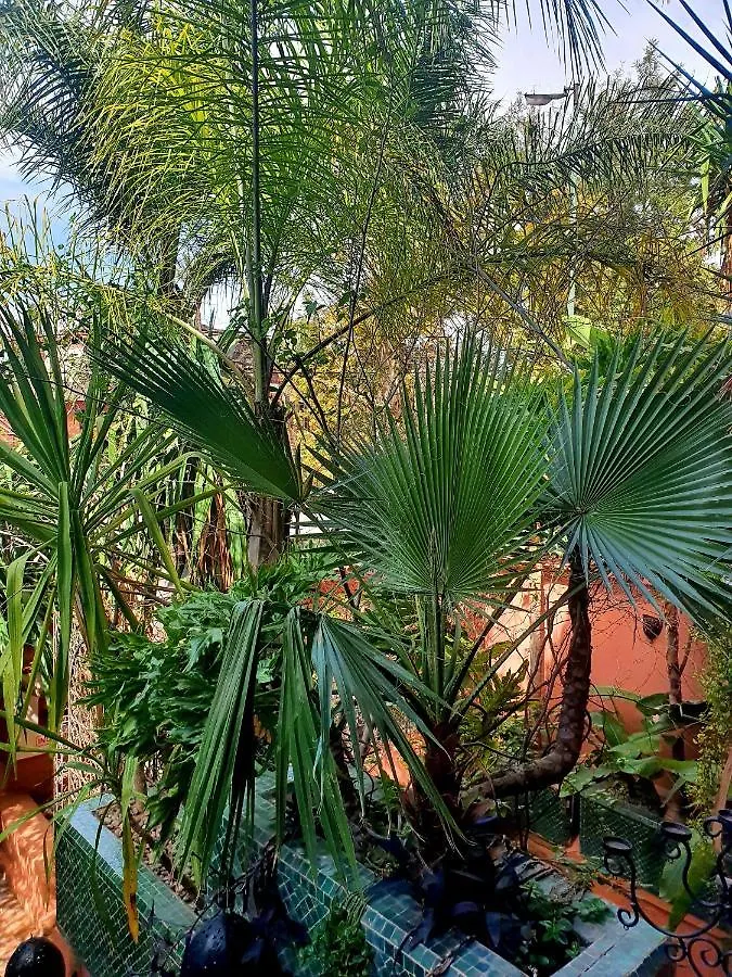 Villa Amira & Spa Marrakesch